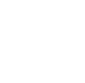 Heart 1